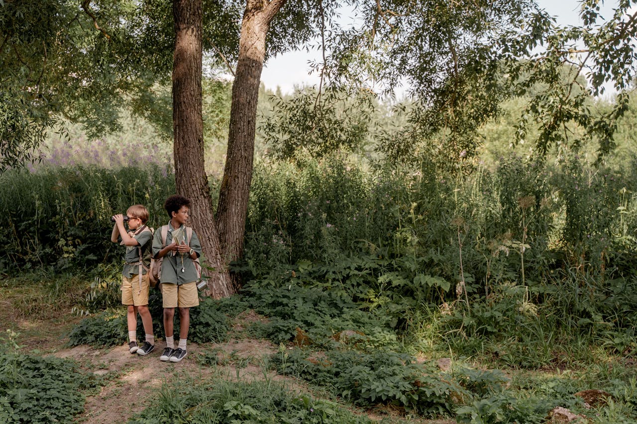 Two boy scouts exploring a forest trail in summer, learning navigation skills.